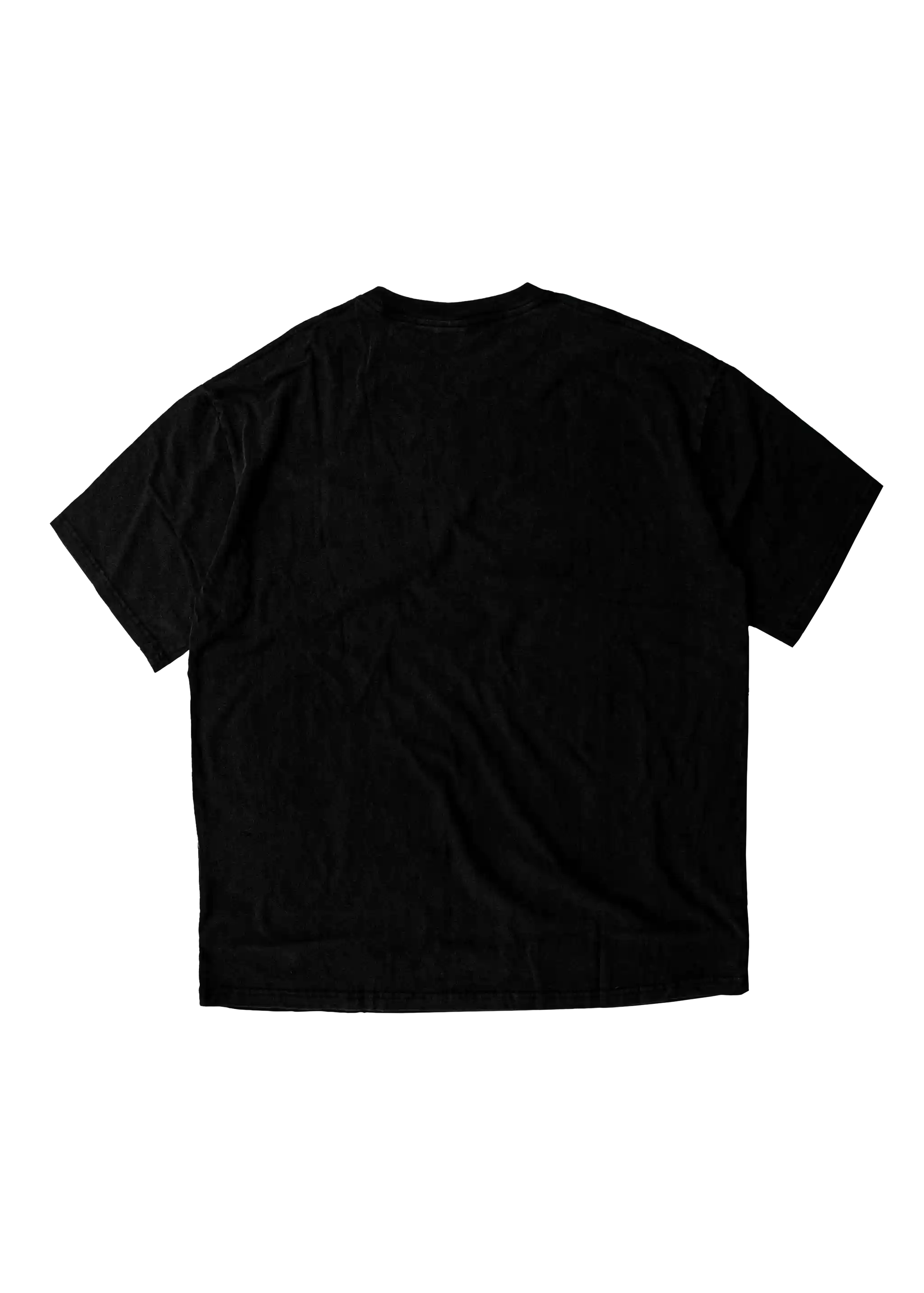 PRIDE - heavy T-Shirt 240GSM
