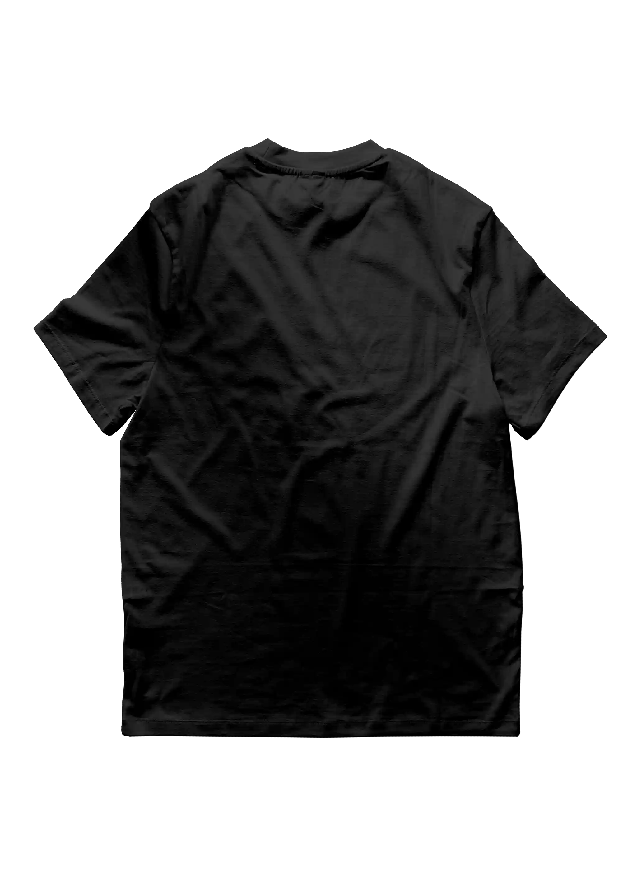 Sad but proud - T-Shirt